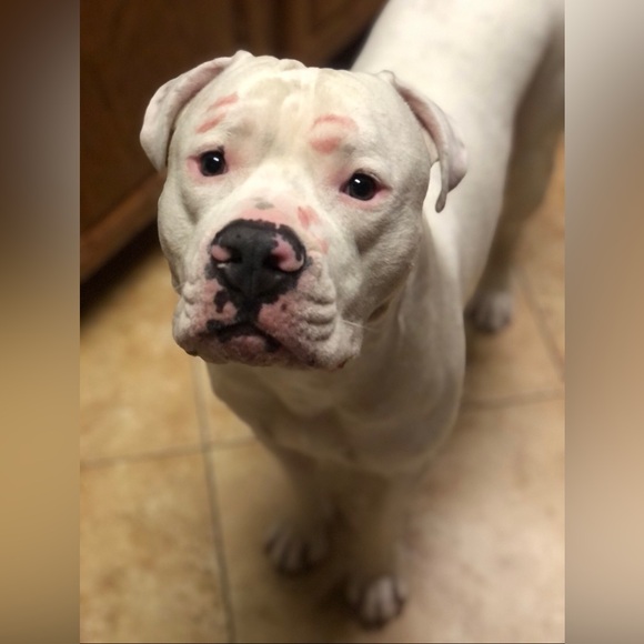 Mother & Daughter Closet makes for more variety💞! - Picture 4 of 12